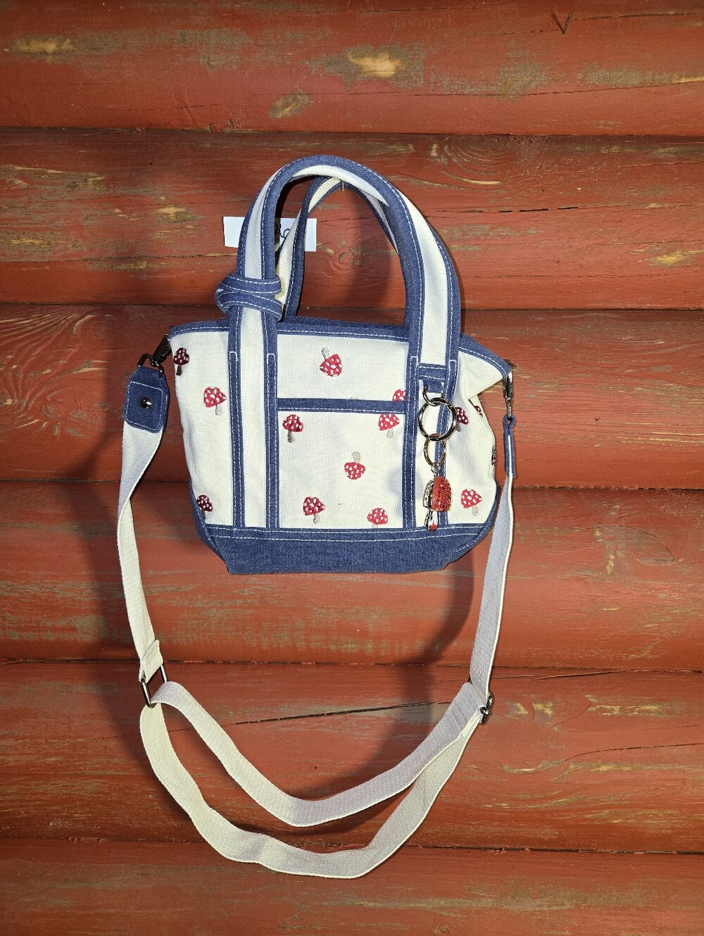 Canvas Mini Tote Bag with Red Mushroom Print - Blue Trim